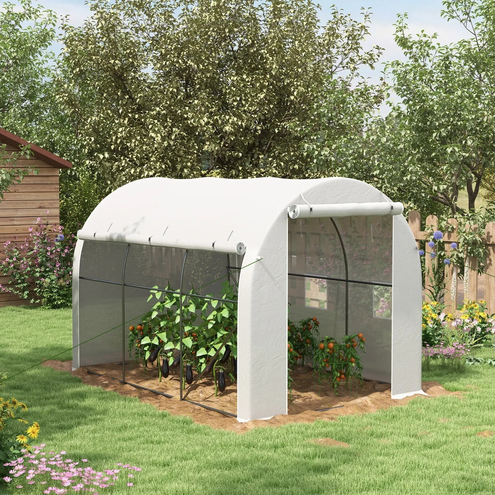 3 x 2 m Walk - In Polytunnel Greenhouse with PE Cover, Mesh Windows & Zipped Door - Home and Garden Furniture Shop - rustic - furniture