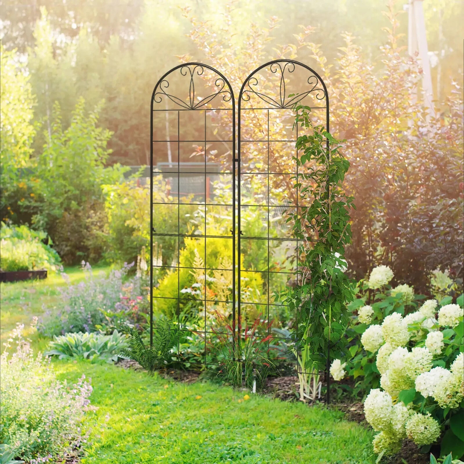 Garden Trellis Set of 2 Plants Support Arched Steel Frames Grid Design Black - Home and Garden Furniture Shop - rustic - furniture