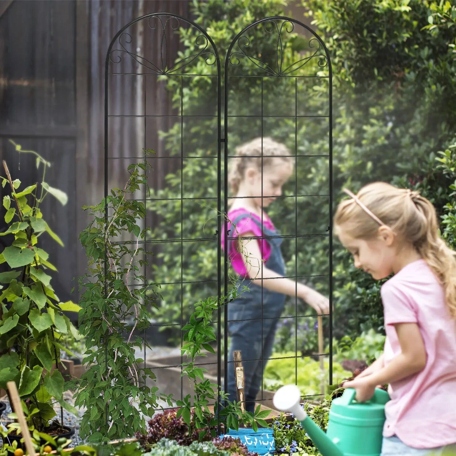 Garden Trellis Set of 2 Plants Support Arched Steel Frames Grid Design Black - Home and Garden Furniture Shop - rustic - furniture