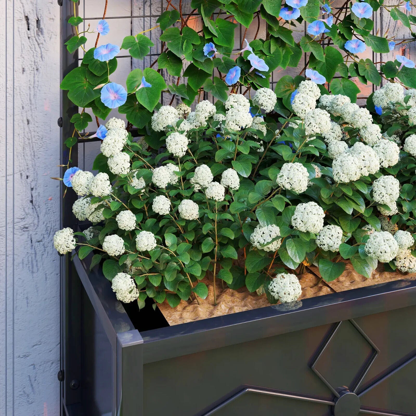 Raised Bed for Garden with Trellis Galvanised Planter Box Drainage Holes - Home and Garden Furniture Shop - #rustic - furniture#