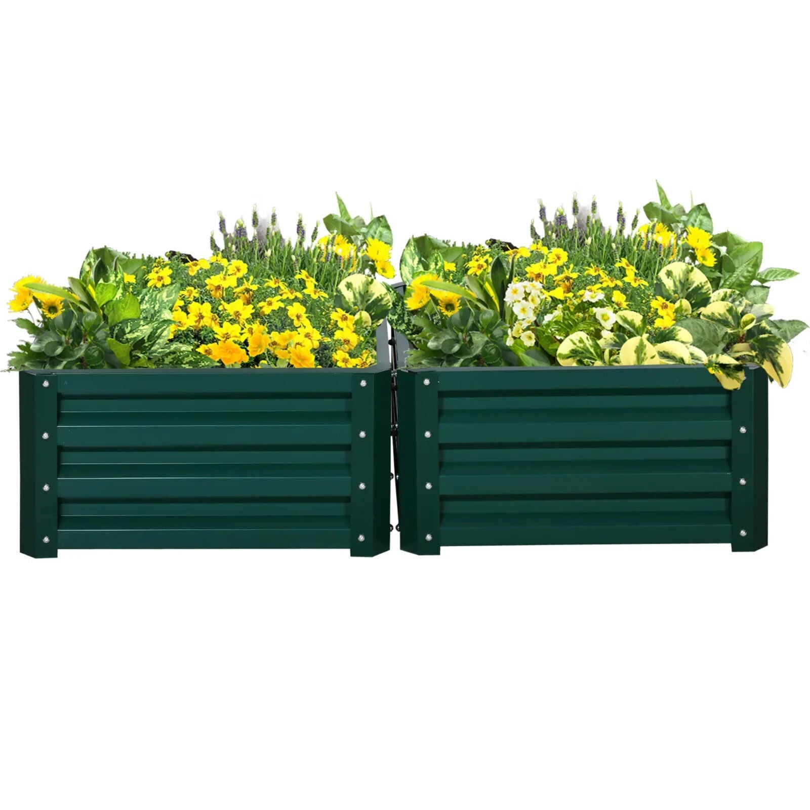 Set of 2 Elevated Galvanised Garden Bed Planter Boxes 60x60x30.5cm for Flowers - Home and Garden Furniture Shop - #rustic - furniture#