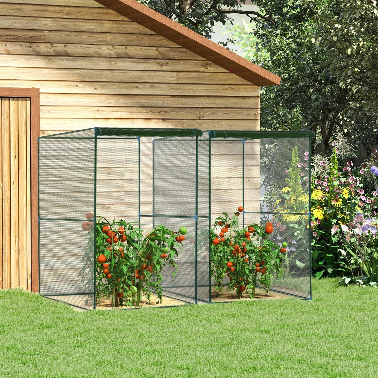 Set of 2 Fruit Cage Plant Protection Tent w/ Zipped Door Bird Netting for Garden - Home and Garden Furniture Shop - rustic - furniture