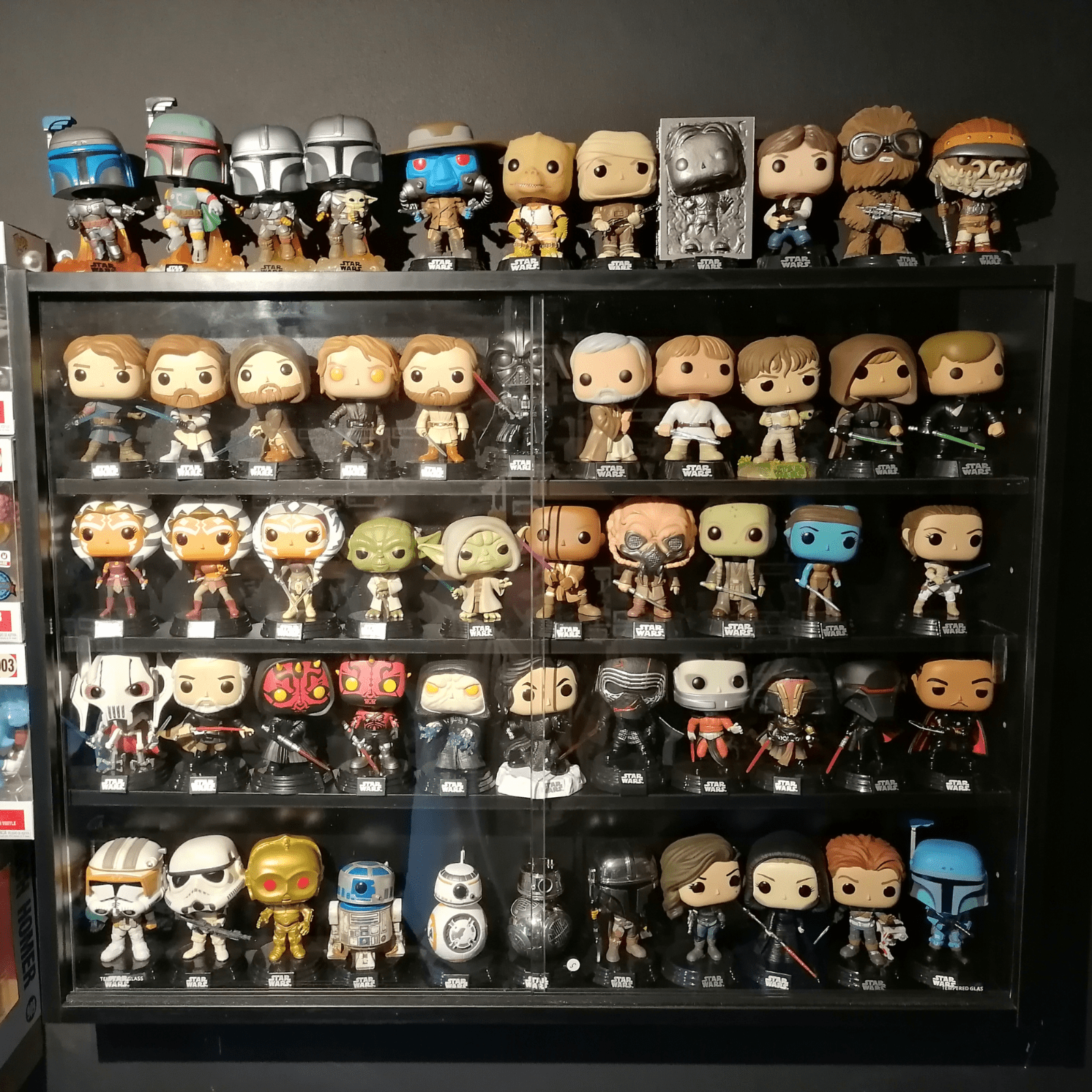 Wall Glass Display Cabinet Models Vitrine Collectors Storage Box 5 Shelves Unit - Home and Garden Furniture Shop - rustic - furniture