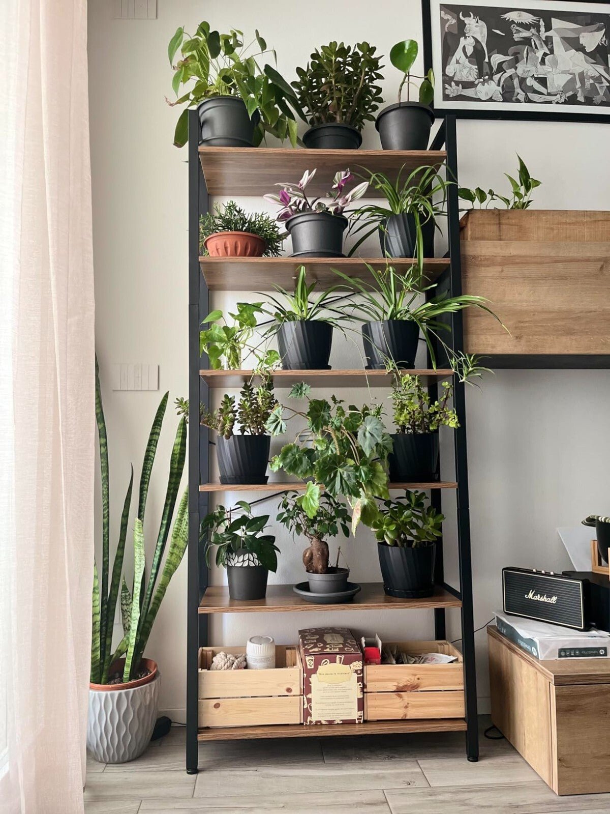 6 Tier Tall Bookshelf Large Bookcase Steel Frame Shelf Unit Industrial Tallboy - Home and Garden Furniture Shop - rustic - furniture