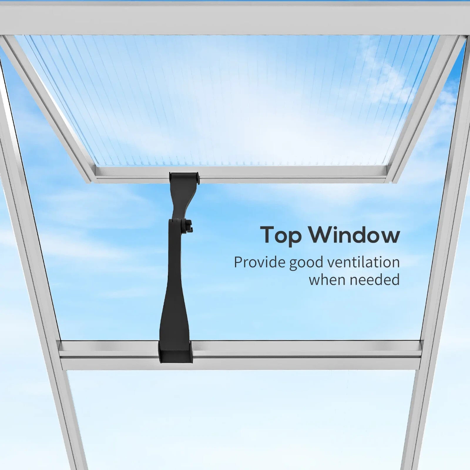 6 x 8ft Polycarbonate Greenhouse with Rain Gutter Walk - In Greenhouse and Window - Home and Garden Furniture Shop - rustic - furniture