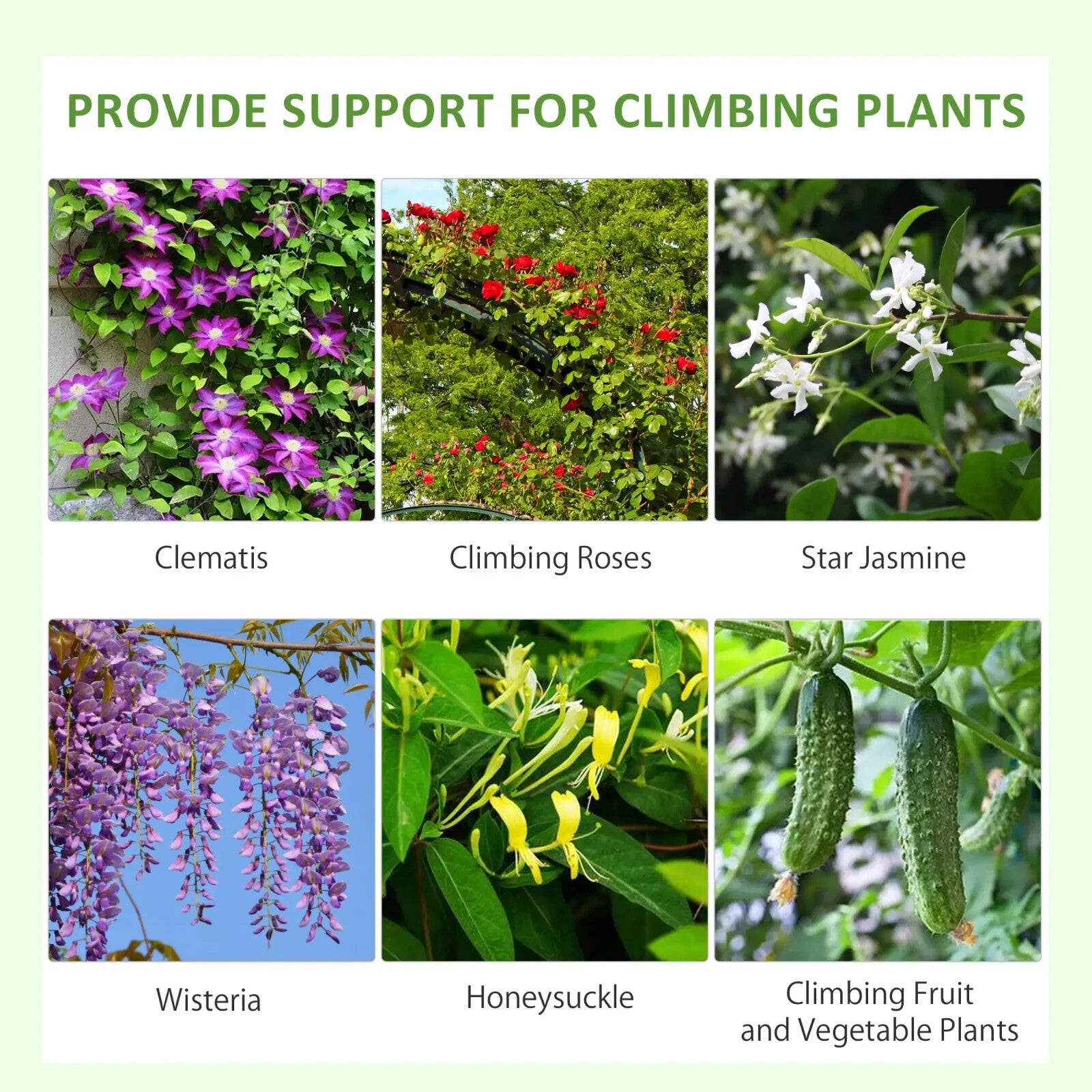 Garden Trellis Set of 2 Plants Support Arched Steel Frames Grid Design Black - Home and Garden Furniture Shop - rustic - furniture