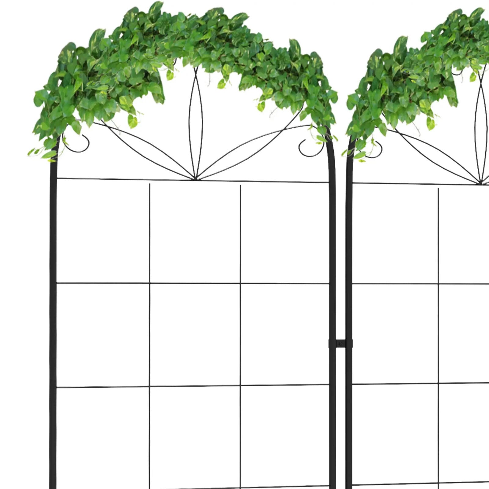 Garden Trellis Set of 2 Plants Support Arched Steel Frames Grid Design Black - Home and Garden Furniture Shop - rustic - furniture