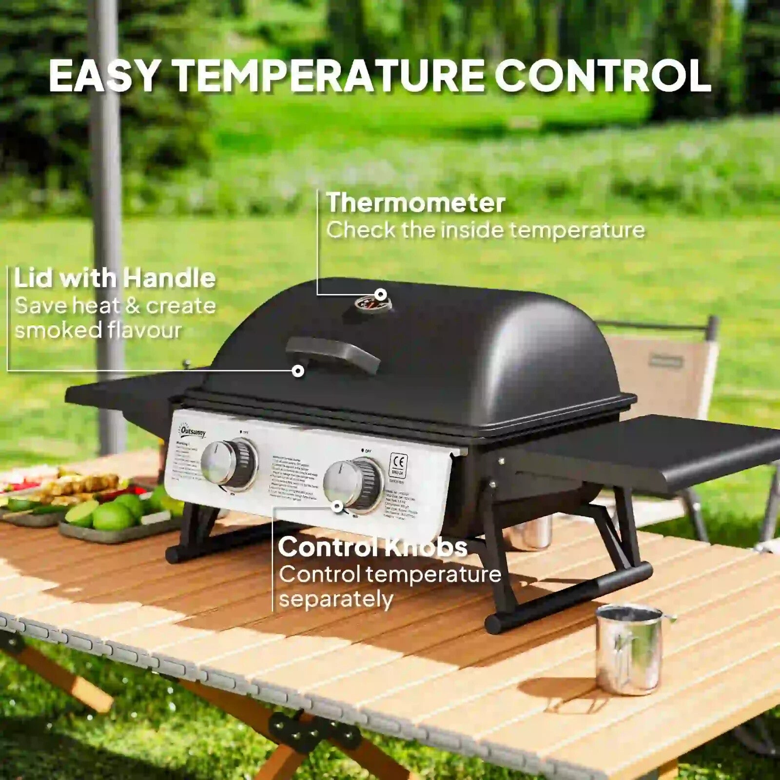 Gas Barbecue Grill 2 Burner Powder Coated with Built - In Thermometer & Lid Black - Home and Garden Furniture Shop - rustic - furniture