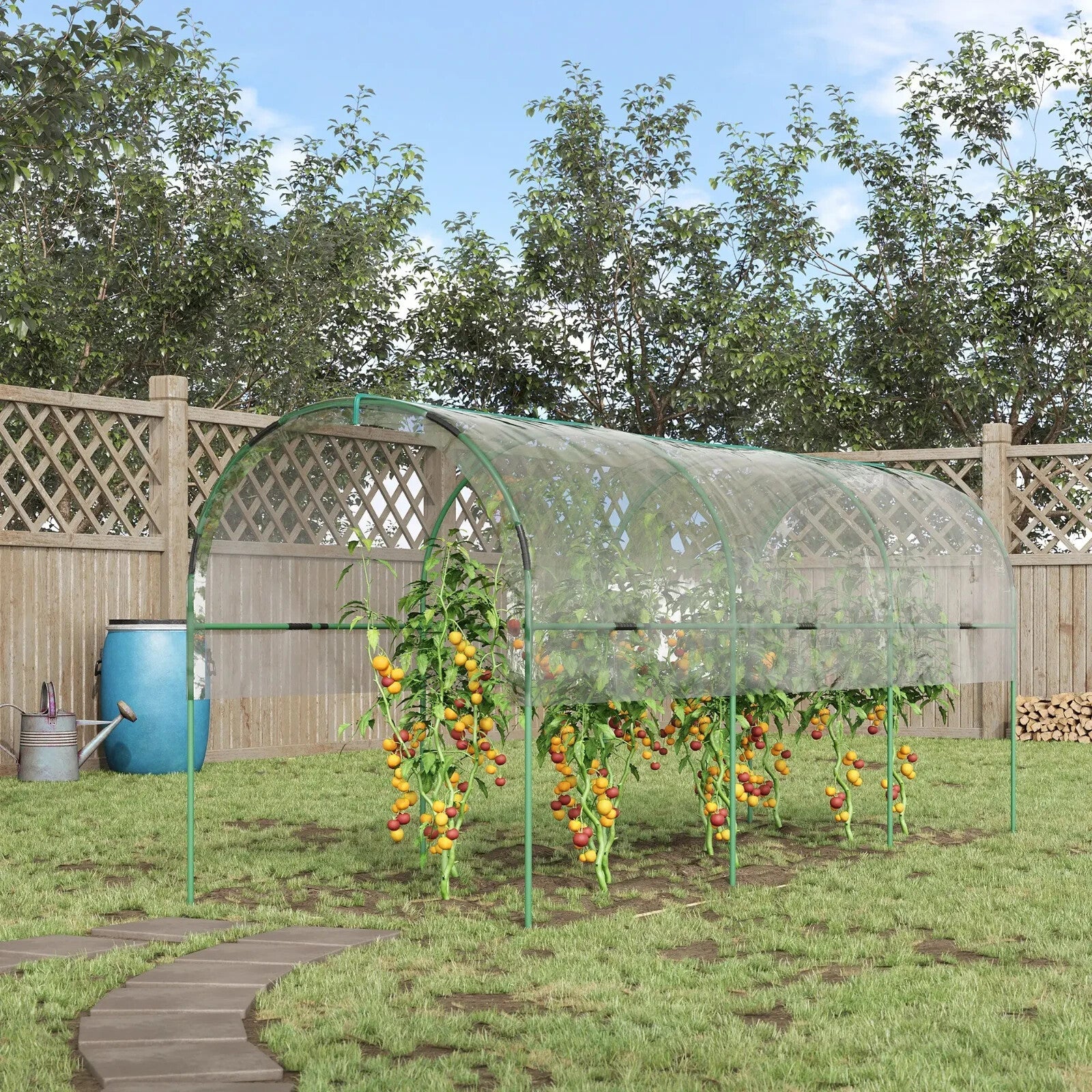 Greenhouse Tunnel with 4 Hoops, Guy Ropes, Pointed Bottom & Curved Top Clear - Home and Garden Furniture Shop - rustic - furniture