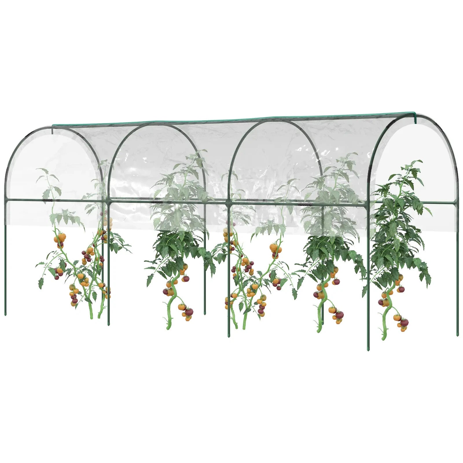 Greenhouse Tunnel with 4 Hoops, Guy Ropes, Pointed Bottom & Curved Top Clear - Home and Garden Furniture Shop - rustic - furniture