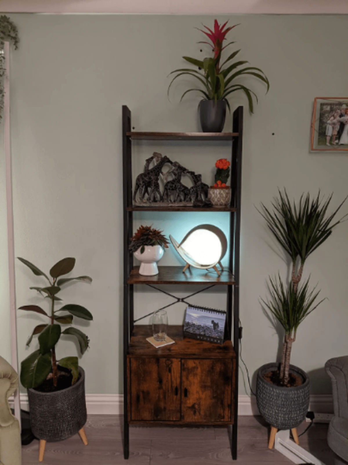 Industrial Ladder Shelf Rustic Metal Bookcase Cabinet Vintage Retro Furniture UK - Home and Garden Furniture Shop - rustic - furniture