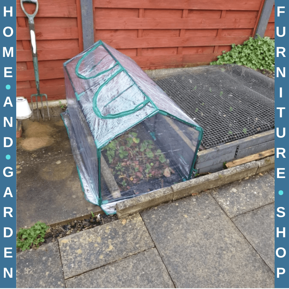 Mini Greenhouse Portable Garden Planter with Zipper 120x60x60 for Flowers Veg - Home and Garden Furniture Shop - rustic - furniture