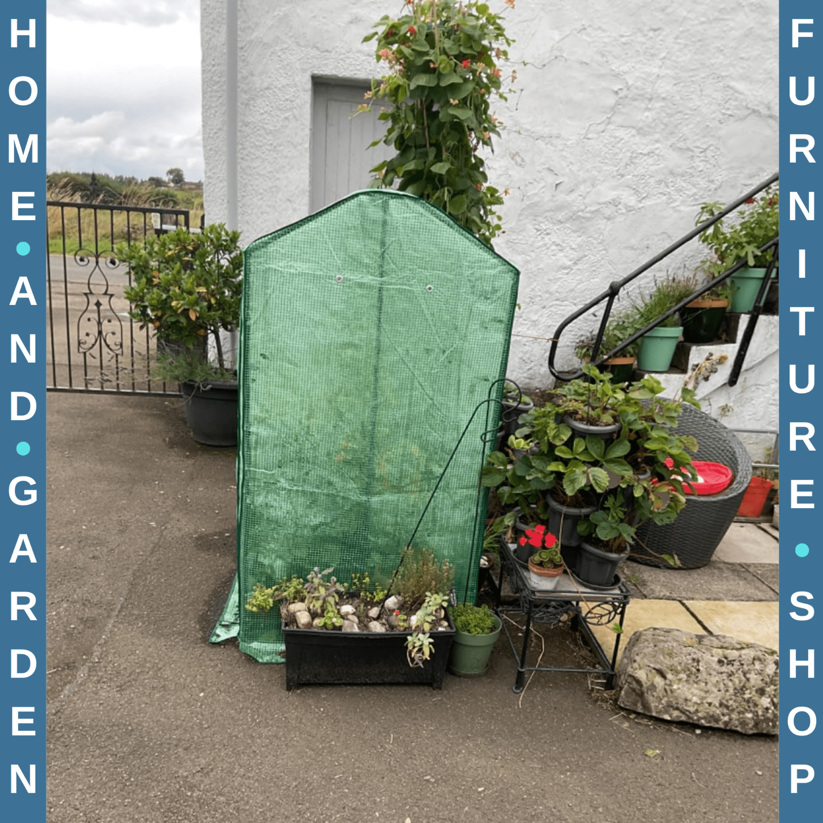Mini Greenhouse UV - Resistant Cover with 2 - Roll Up Doors & Vent Holes Green - Home and Garden Furniture Shop - #rustic - furniture#