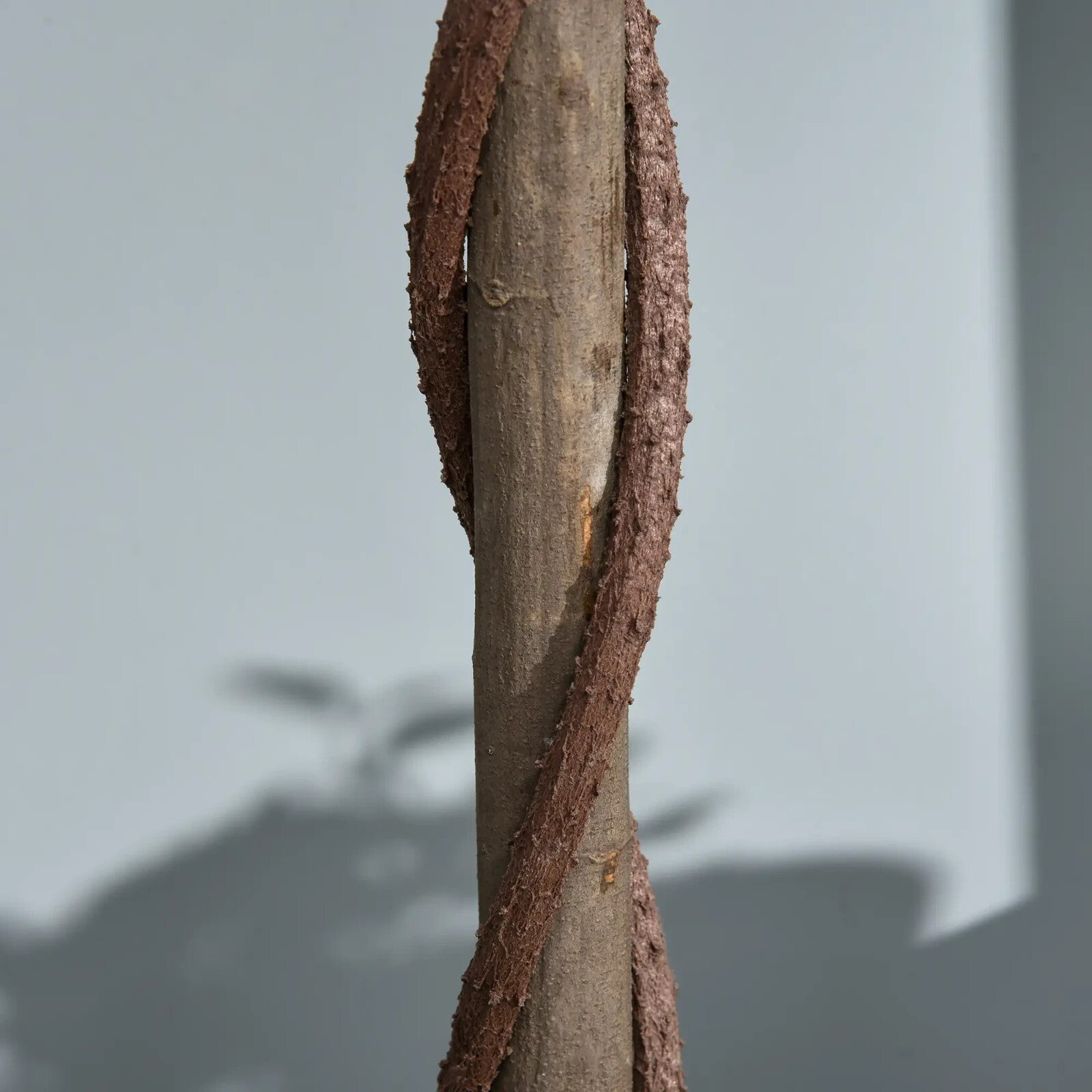 Set of 2 Artificial Bay Laurel Topiary Trees in Pots 120cm for Indoor Use Green - Home and Garden Furniture Shop - rustic - furniture