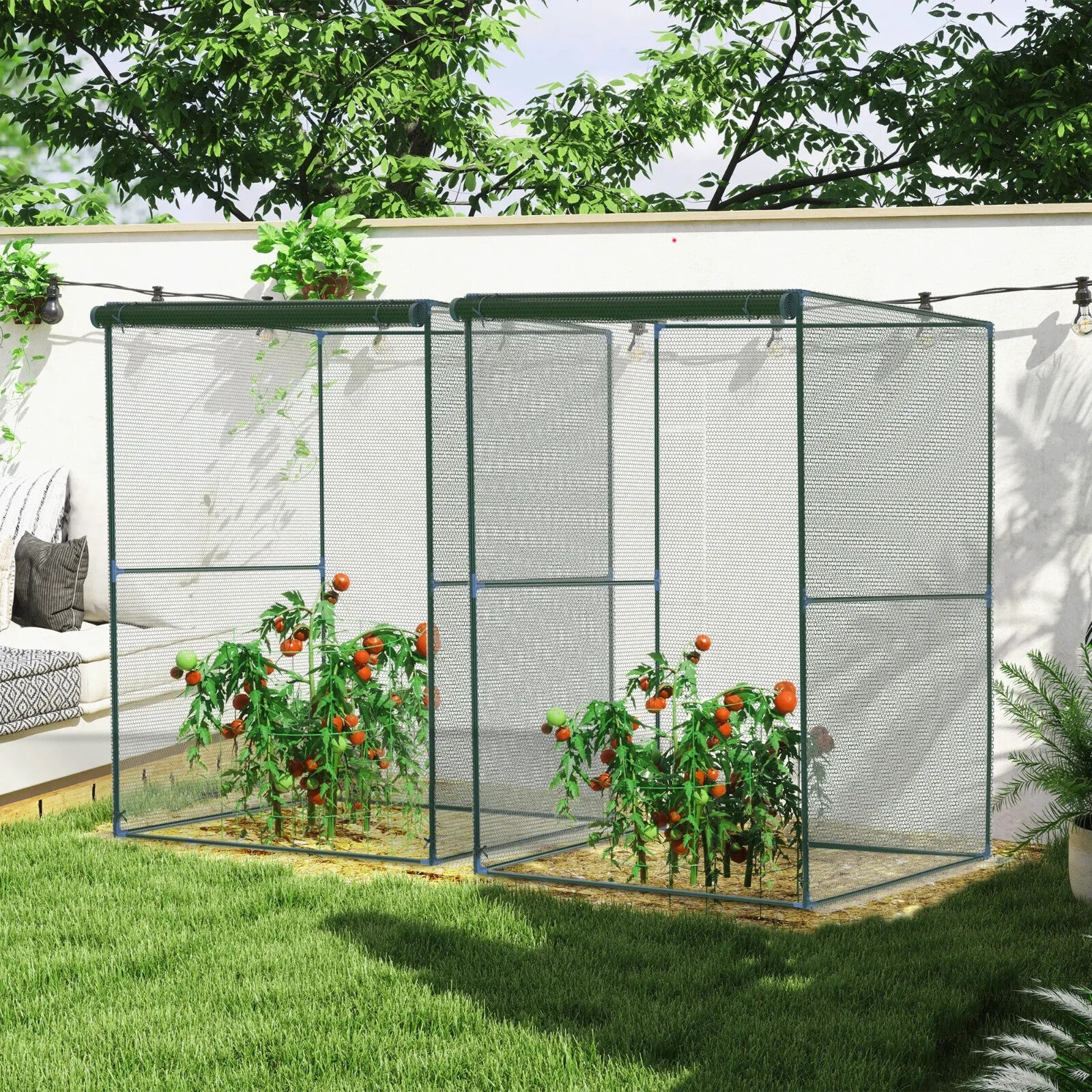 Set of 2 Fruit Cage Plant Protection Tent w/ Zipped Door Bird Netting for Garden - Home and Garden Furniture Shop - rustic - furniture